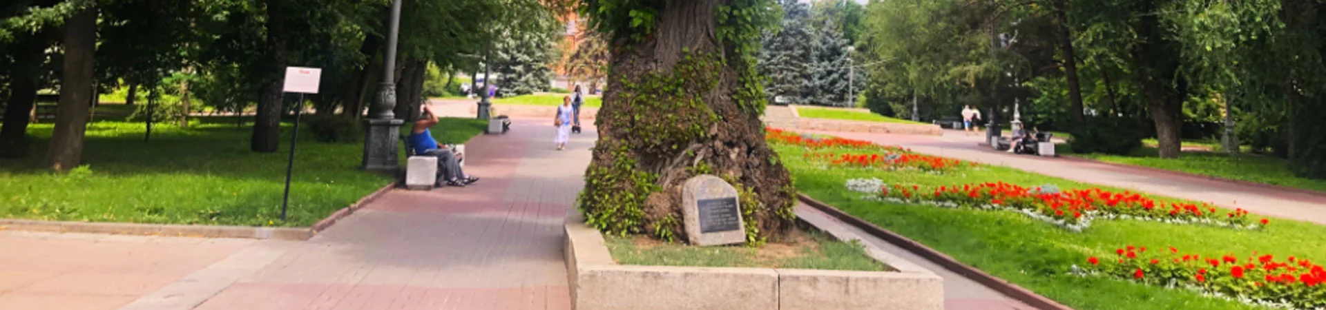 СТАЛИНГРАДСКИЙ ТОПОЛЬ