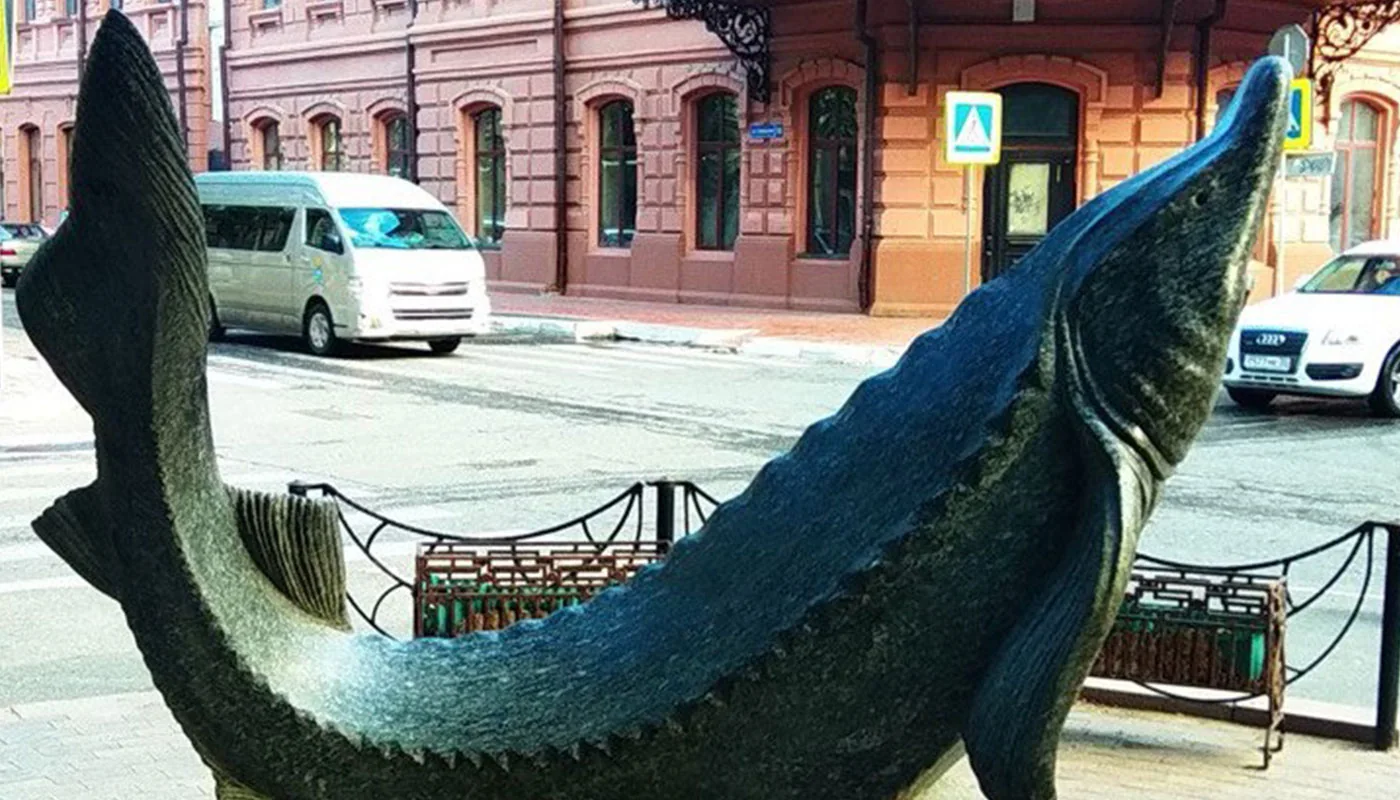экскурсии лотосы астрахань